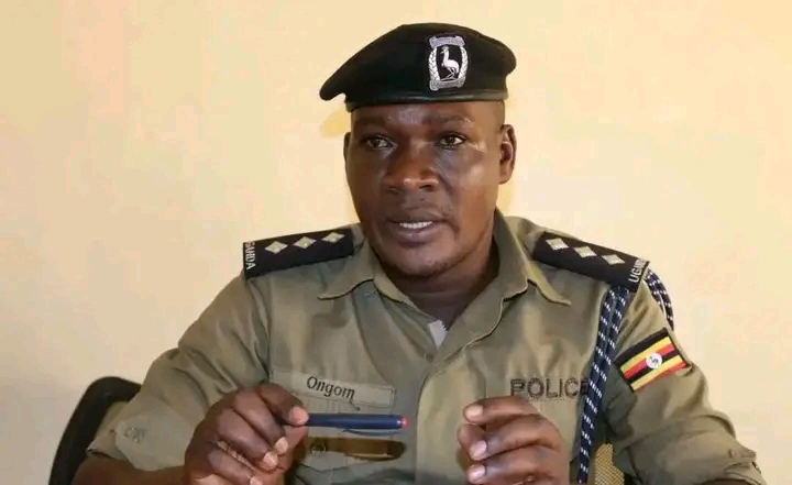 Eight Youth Detained in Amolatar Over Suspected Gang Related Crimes