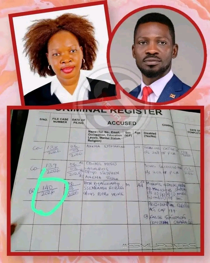 Gulu High Court Grants Bail to Gloria Grace Laker in Computer Misuse Case.